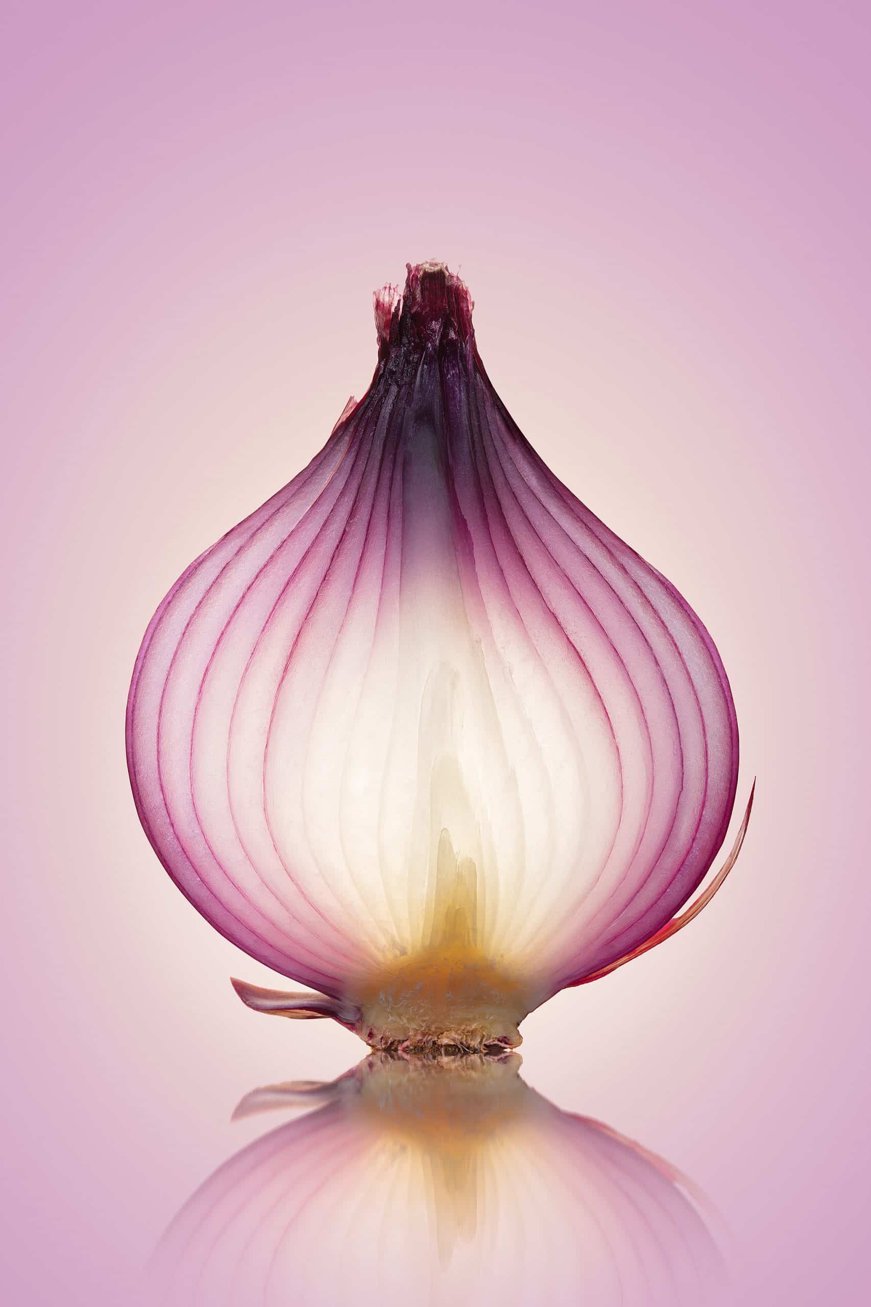 Defence In Depth - Like Onion Layers Defence In Depth - Like Onion Layers